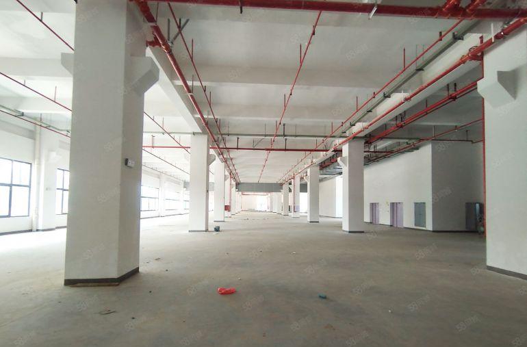 原房东7元200平起租东莞道滘望牛墩6千平厂房出租面积实在