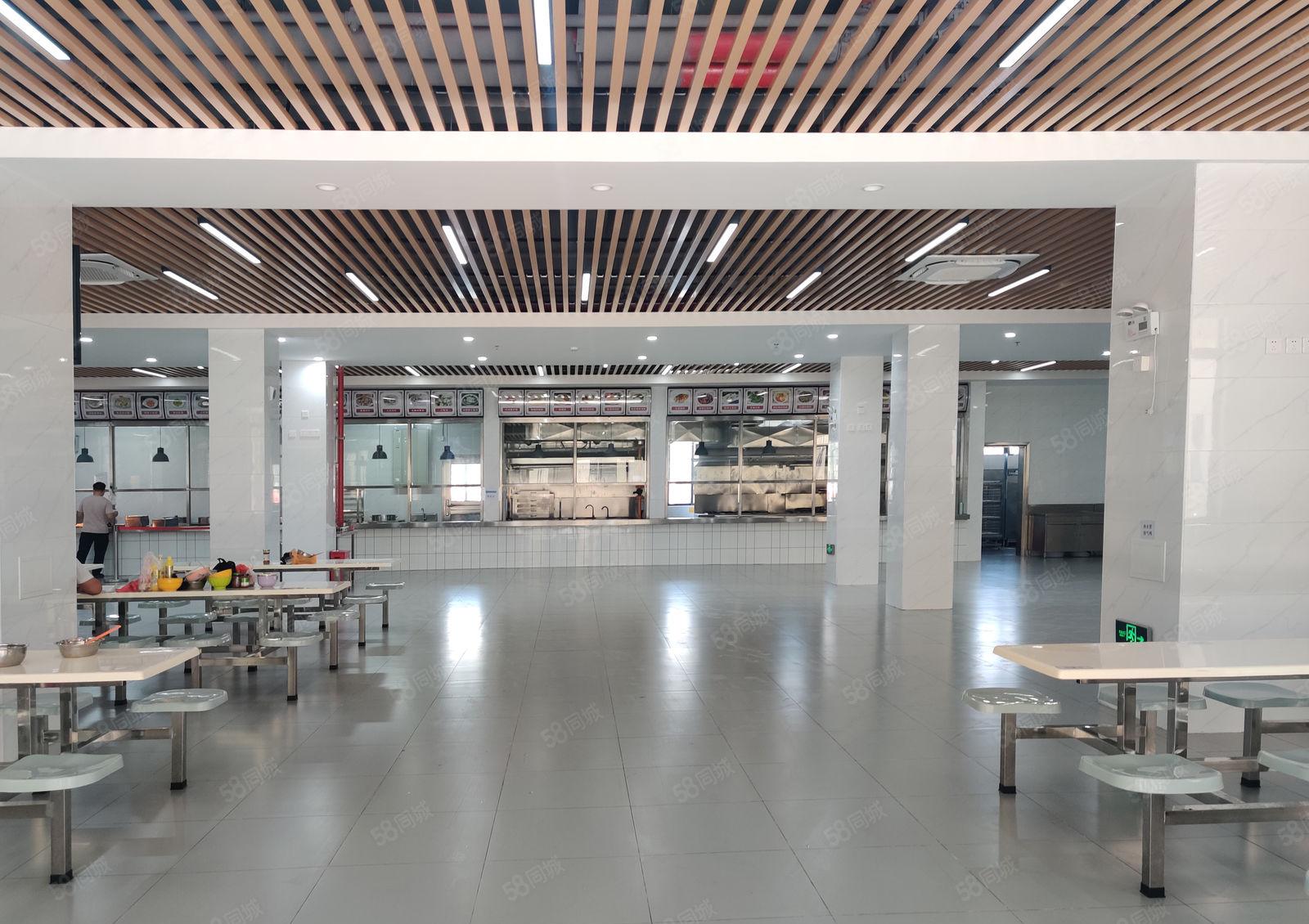 6元200平道滘望牛墩洪梅原房东无公摊2万平一楼仓库厂房出租