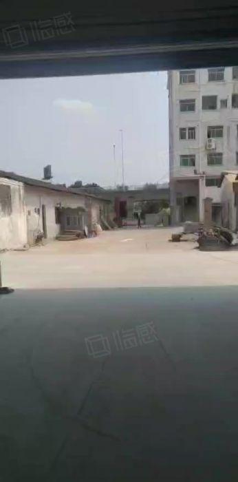 道滘原房东18元实量单一层7600方独院