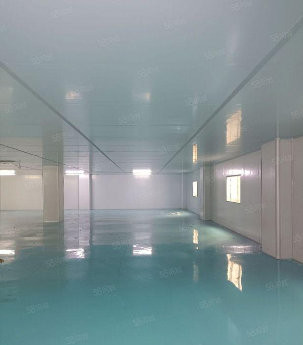 道滘原房东独门独院3500平低价厂房出租，适合机加工模具等