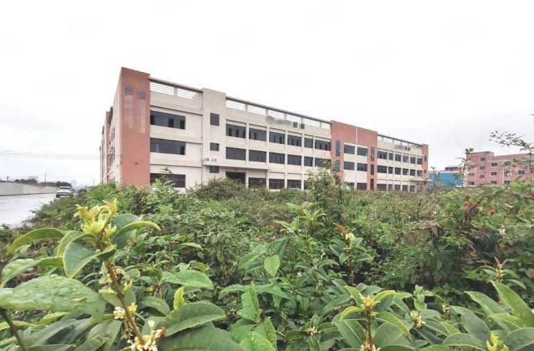 道滘水乡大道旁原房东新建红本独院楼房临近东莞南城厚街万江