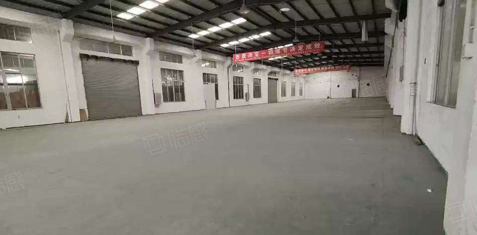 特惠！东莞道滘原房东独门独院厂房出租，单一层砖墙到顶，空地大