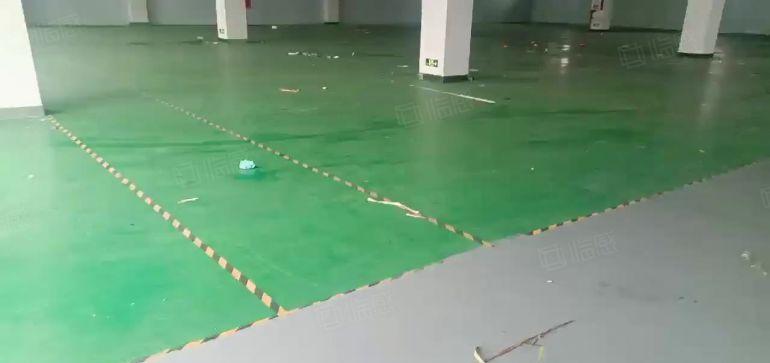 道滘镇 全新标准厂房 仓库2000平方，原房东低价出租