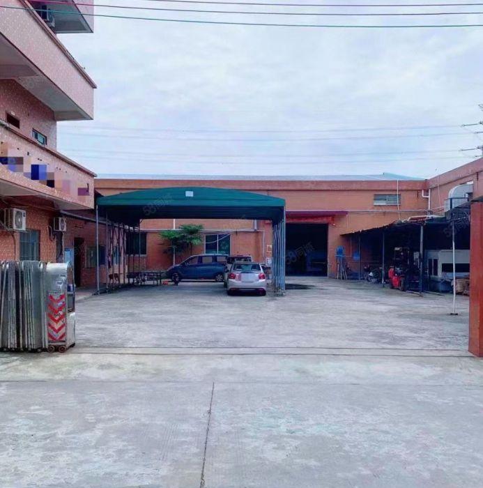 道滘独院单一层厂房出租