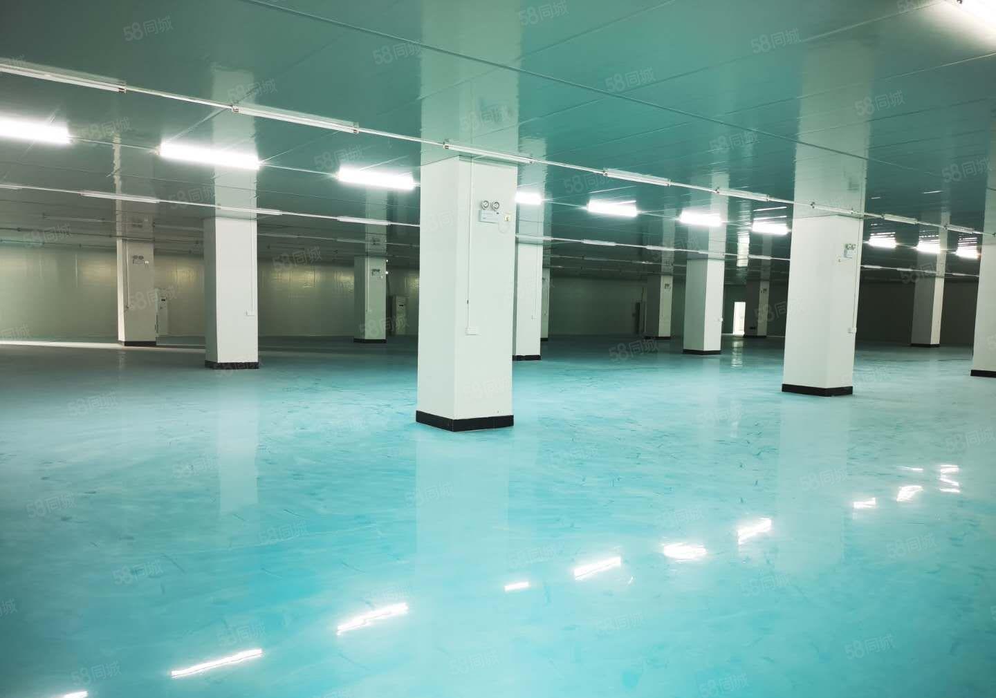 东莞市一手厂房出租，证件齐全，实际面积出租。