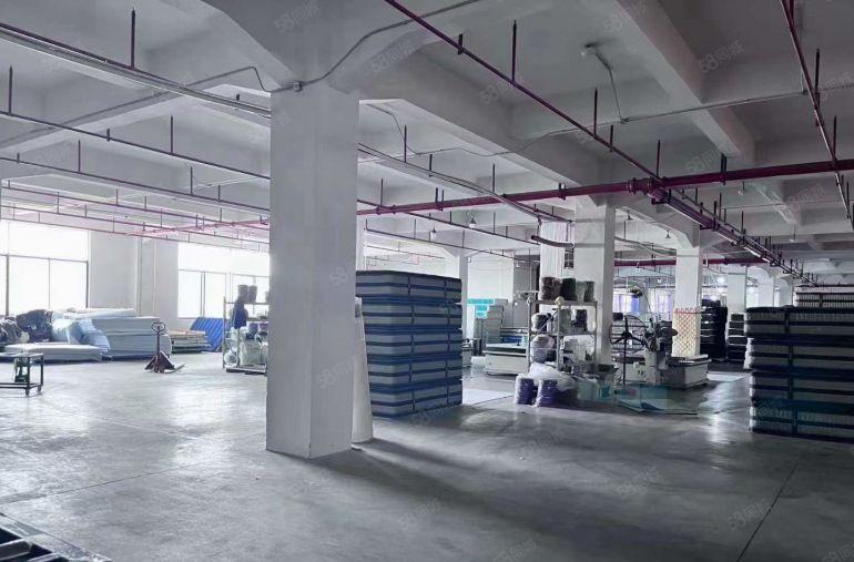 道滘带装修~10元~带办公室