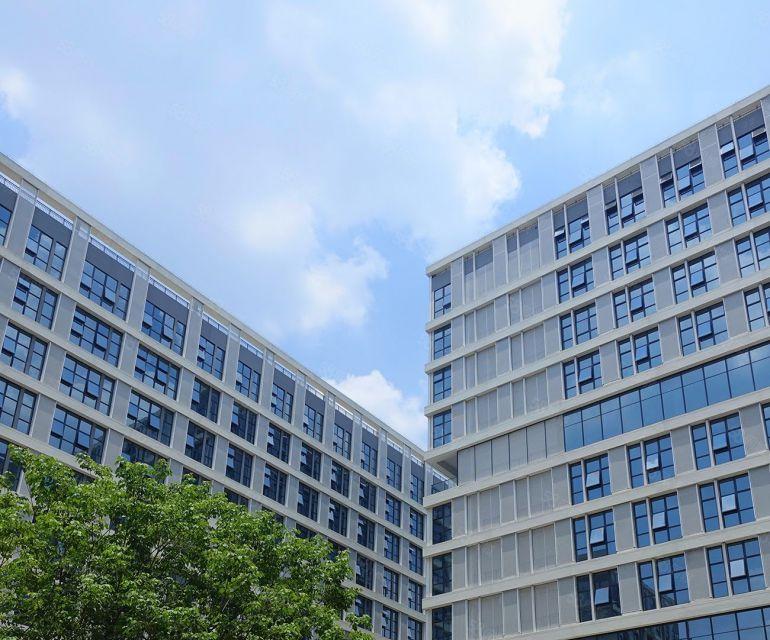 道滘重大工业园区招商，5百到5万平厂房出租，有补贴，有低空间