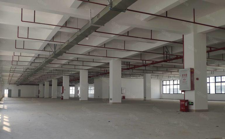 东莞水乡片区政府园区全新带红本厂房出租3千平方可分租，整租