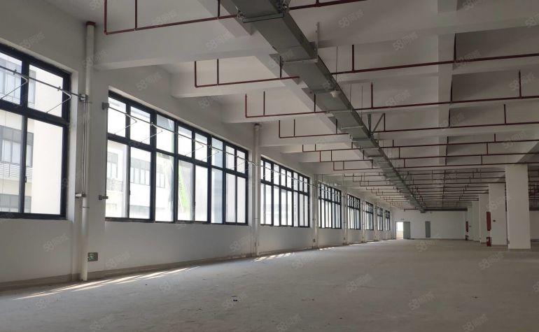 东莞水乡片区政府园区全新带红本厂房出租3千平方可分租，整租