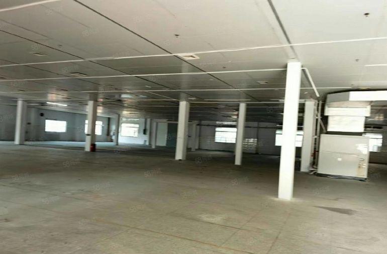 道滘独院花园式厂房出租，原房东出租，形象好超大空地