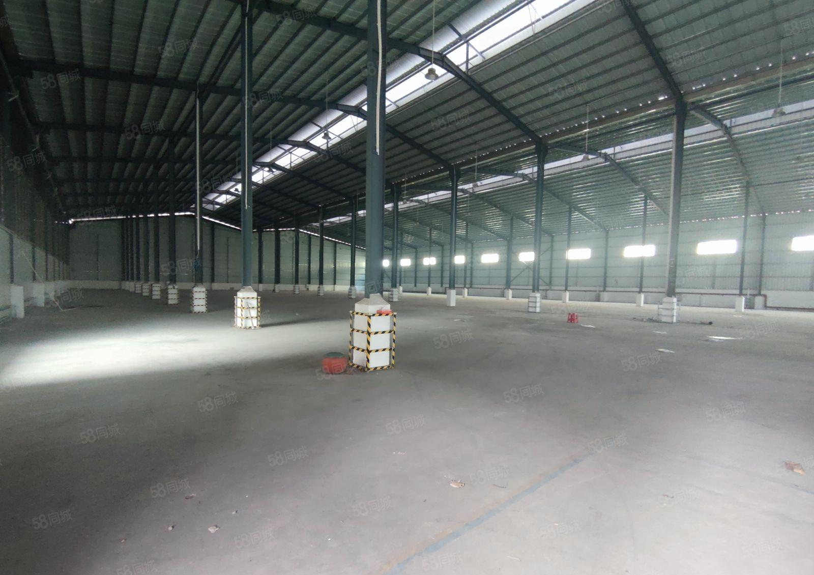 道滘靠近洪梅独门独院单一层钢结构厂房出租8000平方6间宿舍