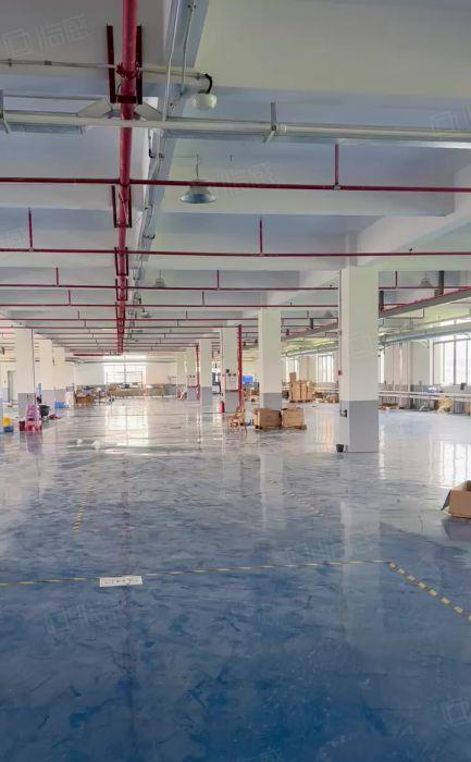 道滘镇精装修楼上厂房出租，单层2000平方，水电办公室