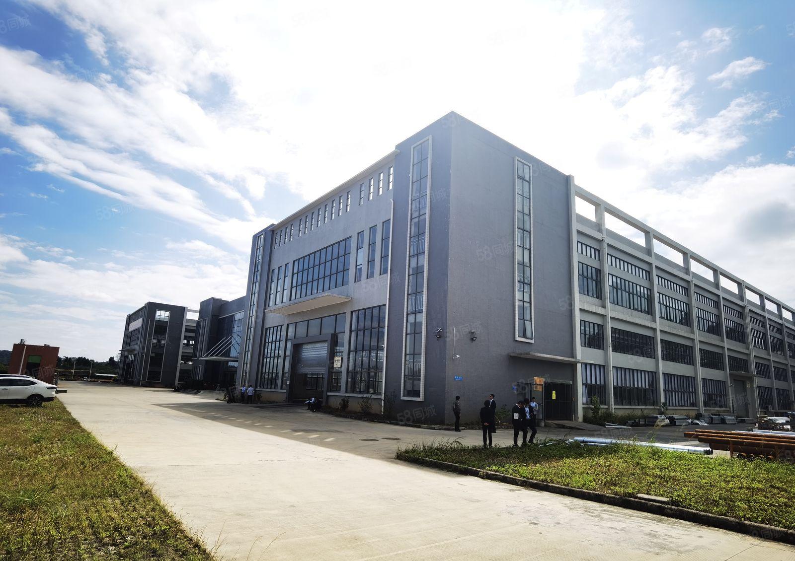 带牛角位！东莞道滘独院厂房出租9200平方低价可分租现成装修