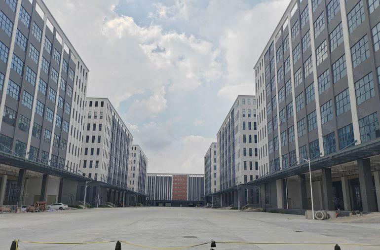 道滘红本全新现楼厂房原房东出租，空地大，交通好！