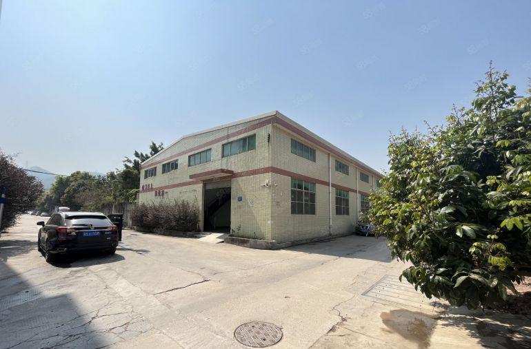 道滘新出原房东独院厂房出租，空地超大周边没居民。可做小污染