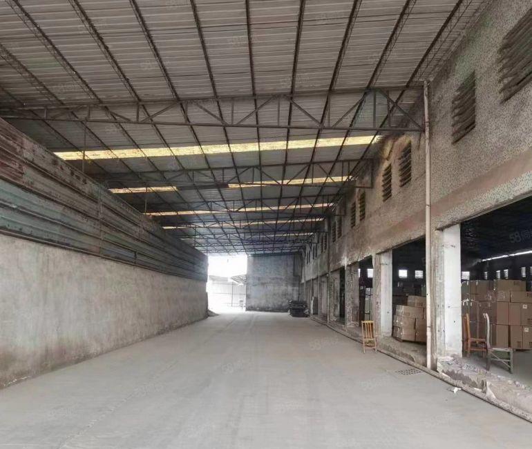 道滘镇新出单一层独门独院厂房