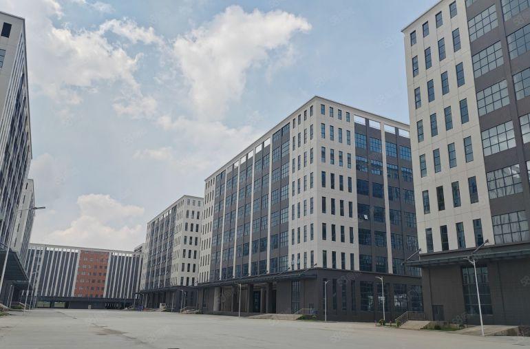 道滘红本全新现楼厂房原房东出租，空地大，交通好！