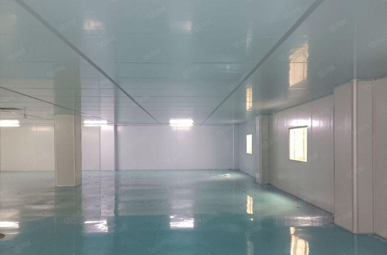 原房东小独院4000平8元出租，空地大，大小车可进！