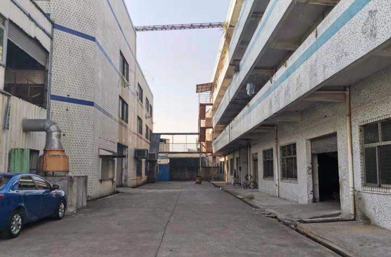 道滘蔡白独栋厂房，带2吨货梯火爆招租