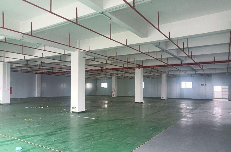 道滘镇 全新标准厂房 仓库2000平方，原房东低价出租