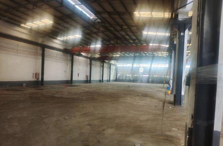 道滘新出4800独门独院厂房