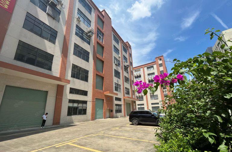 厂房出租带现成水电精装修茶山镇原房东出租1楼5楼各1350平