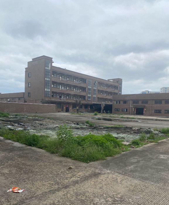 茶山镇新出原房东花园式独院厂房14800平方米