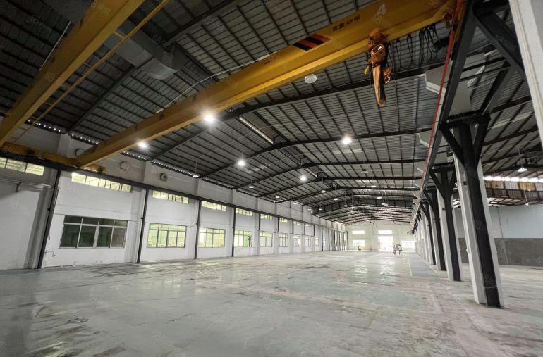 茶山镇伟建工业区原房东滴水9米钢构厂房出租分租