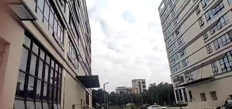 茶山镇全新厂房层高七米二类消防带消防喷淋重工业现成装修可办环