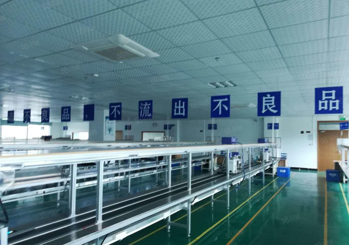 原房东 茶山镇原房东出租三楼带装修厂房1200平方