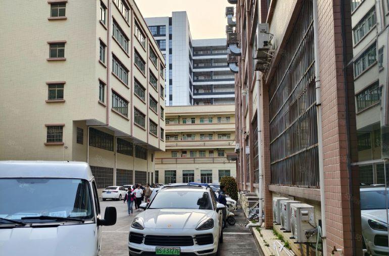 茶山镇原房东一楼实际面积出租，一楼层高六米