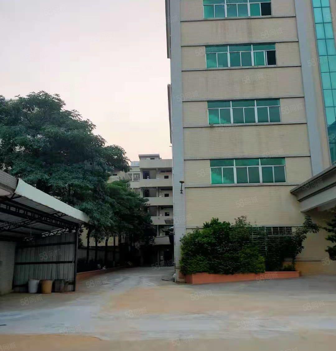 茶山镇独门独院厂房3400平方招租