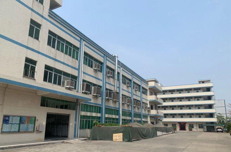 茶山新出原房东独院8000平方精装修红本厂房出租可分租