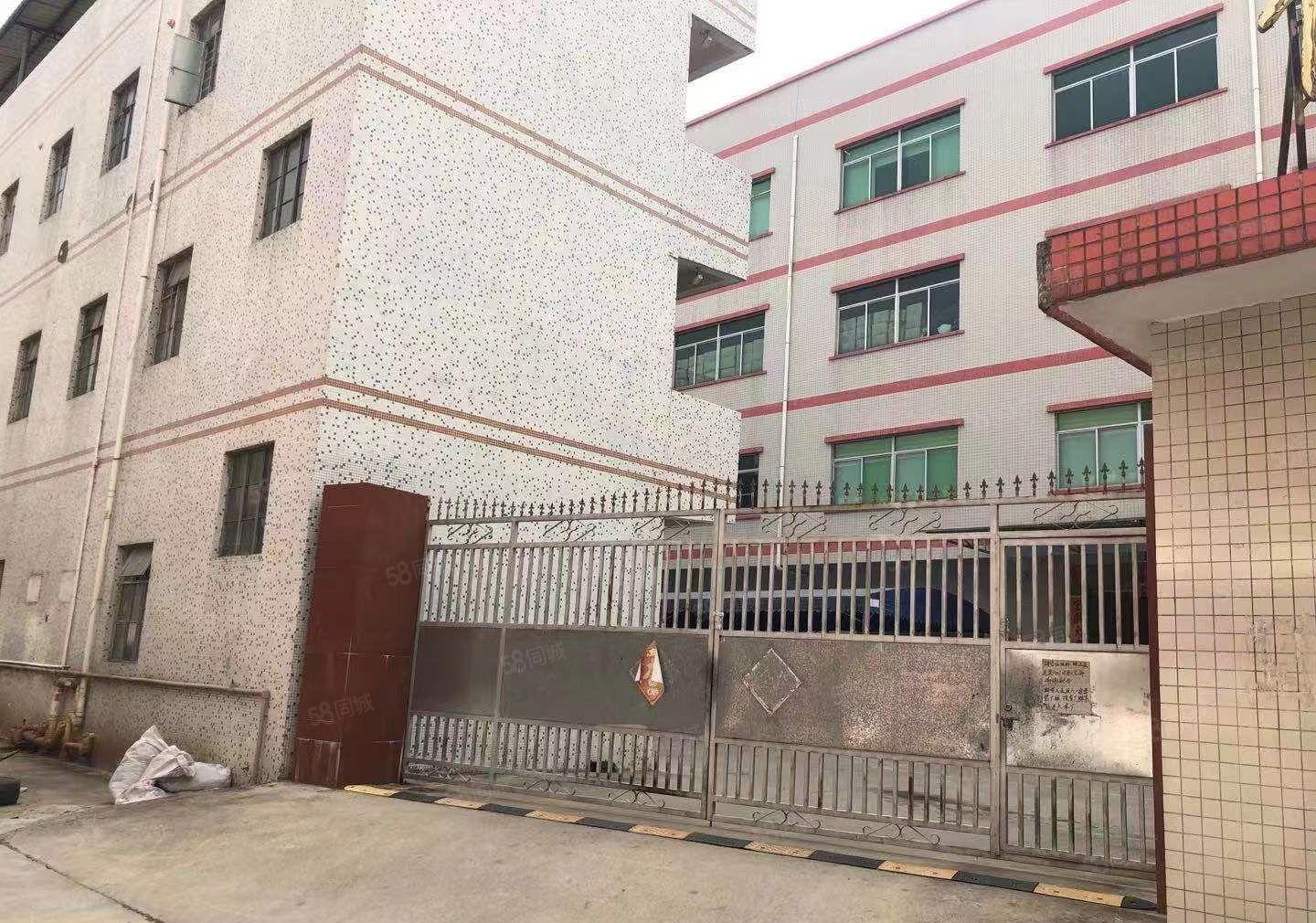 高端，大气标准独院厂房，适合制衣厂，电子厂，五金厂