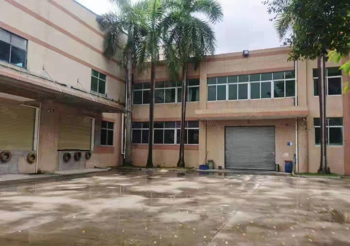 茶山经典小独院厂房出租4350平方形象好空地大工业用地