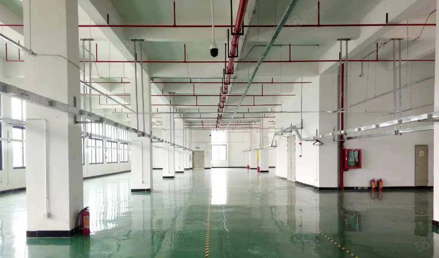 茶山镇厂房出租超朗工业区楼上分租1500平方带地坪漆