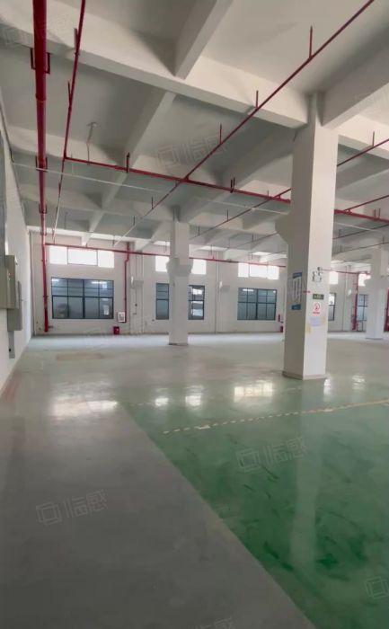 厂房出租带现成水电精装修茶山镇原房东出租1楼5楼各1350平