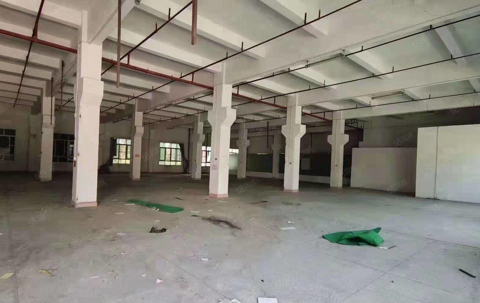 茶山镇独院标准厂房3600平方出租 带牛角位