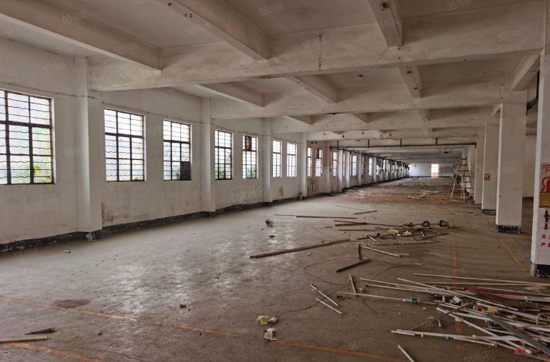 茶山工业园区厂房招租，茶山厂房出租！