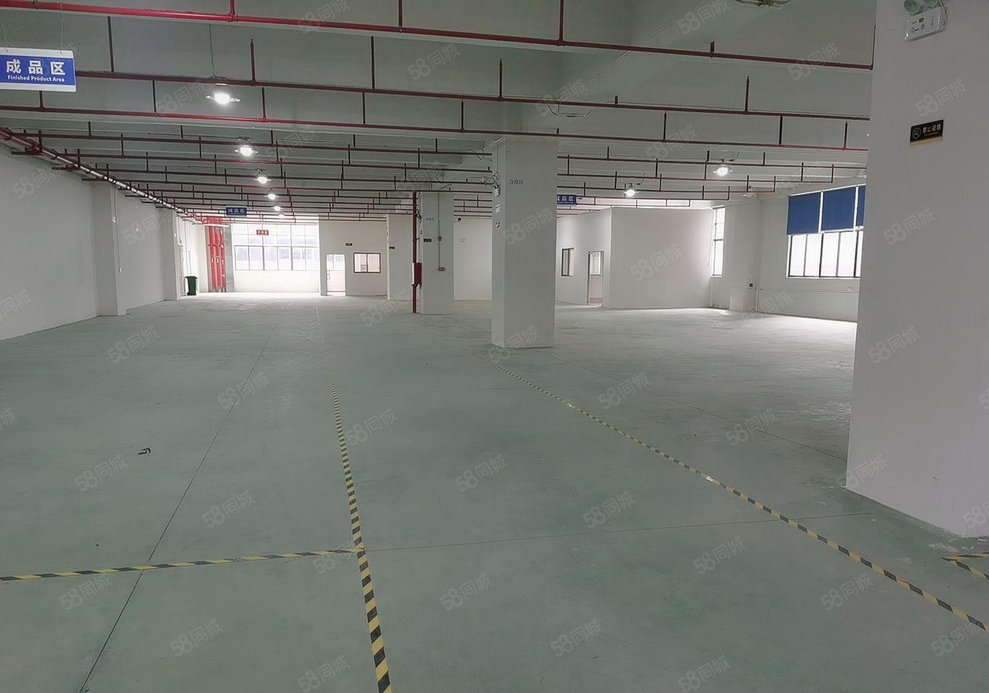 茶山全新标准一楼厂房出租1500平方，带牛角水电到位，高7米