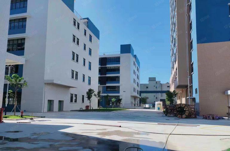 原房东10块一平，茶山原房东2610平红本厂房出租