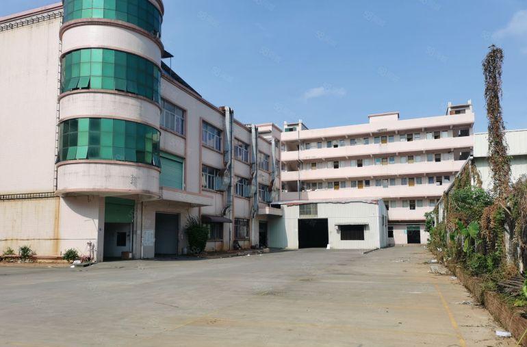 茶山独门独院厂房出租，5000平方米有宿舍有办公室可整租