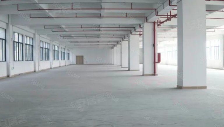 8元每平方原房东实际面积出租厂房单层面积1010平方现成地坪