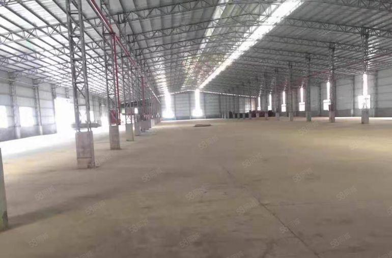 厂房出租茶山原房东独栋钢结构单一层3000平方招租 工业用地