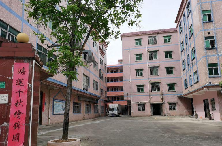 茶山镇独院厂房出租整租5500平方米，分租1000平方米起租