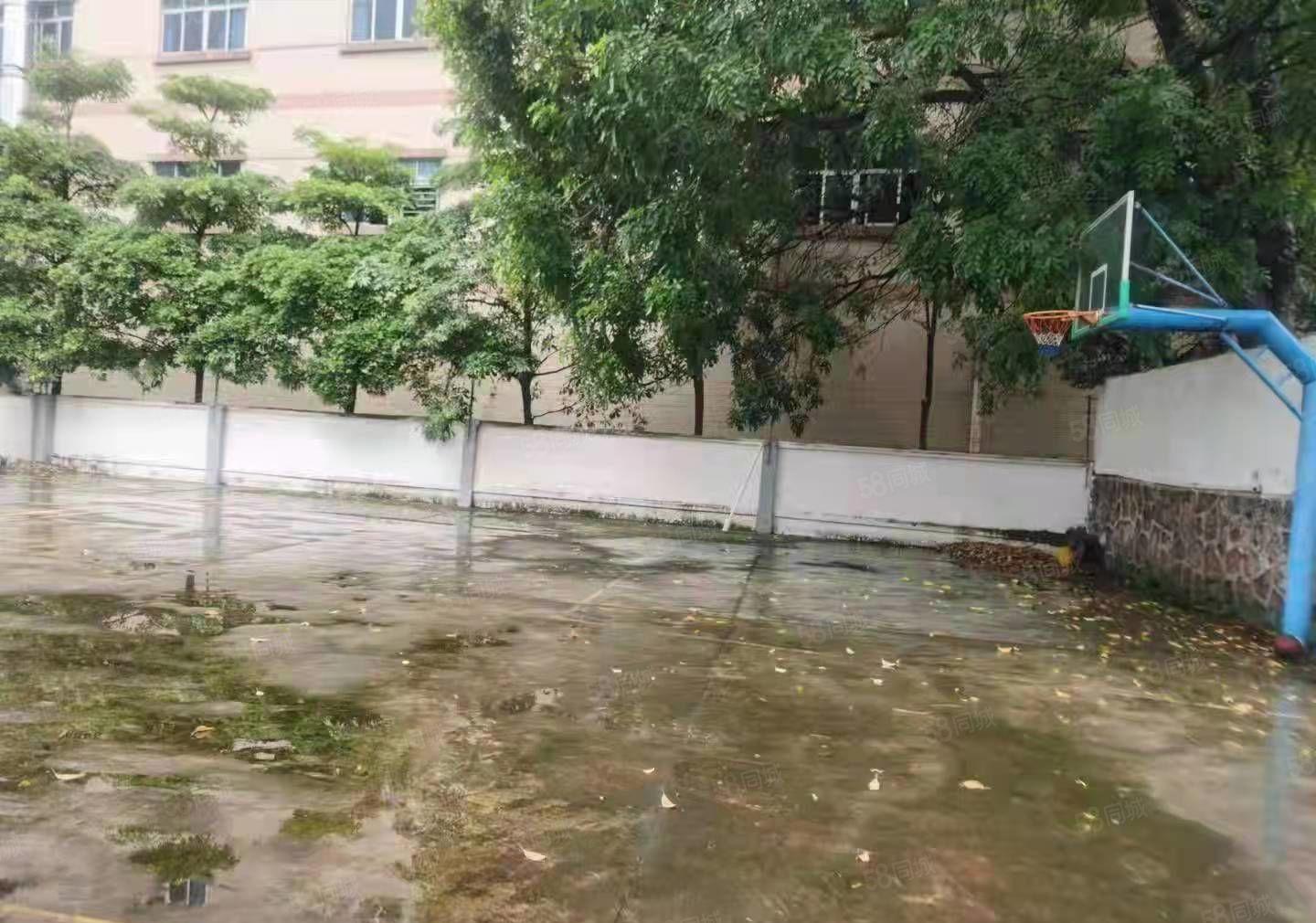 茶山经典小独院厂房出租4350平方形象好空地大工业用地