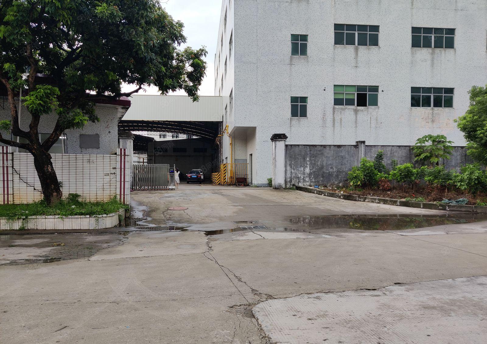东莞茶山重工业厂房 27000平，滴水12米，空地大，无居民