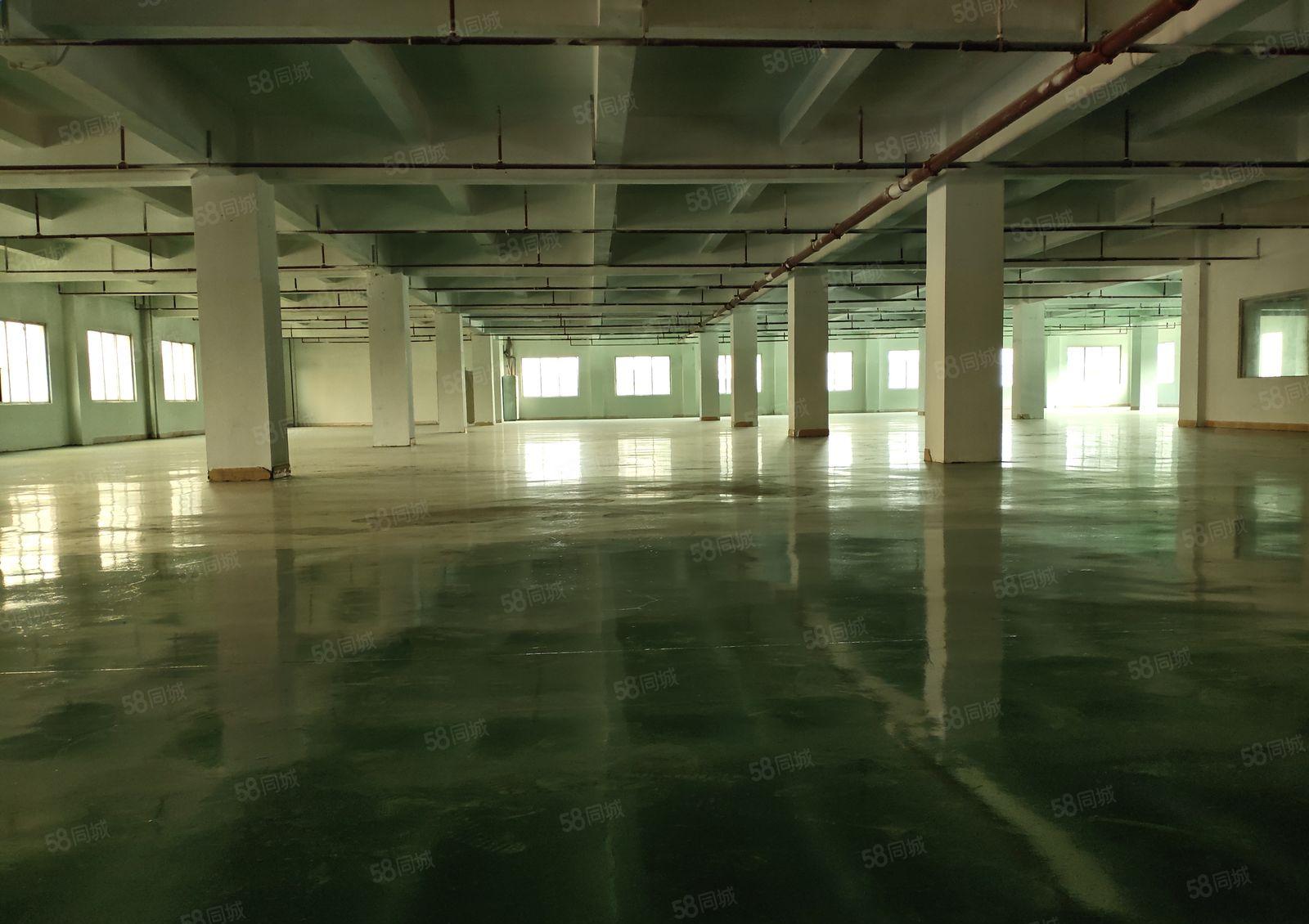 茶山工业园租客自用厂房分租2000平方，带部分装修价格18