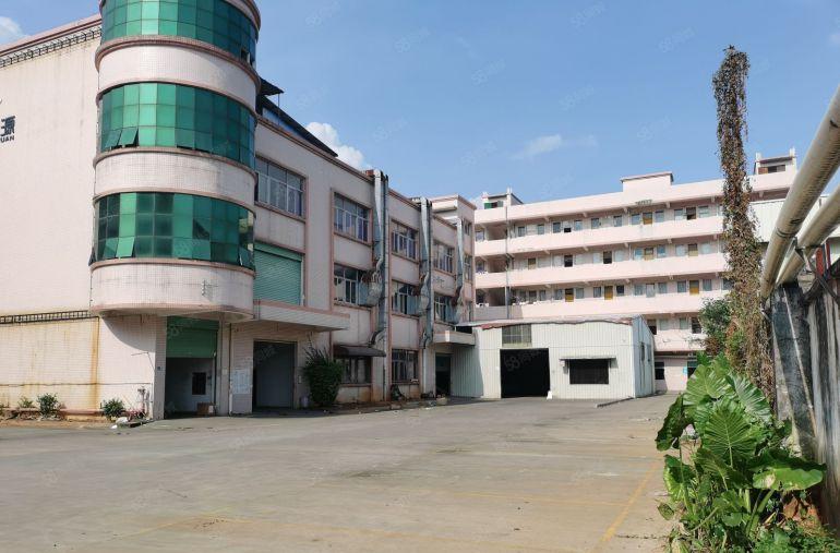 茶山独门独院厂房出租，500平方米起租有宿舍有办公室可整租