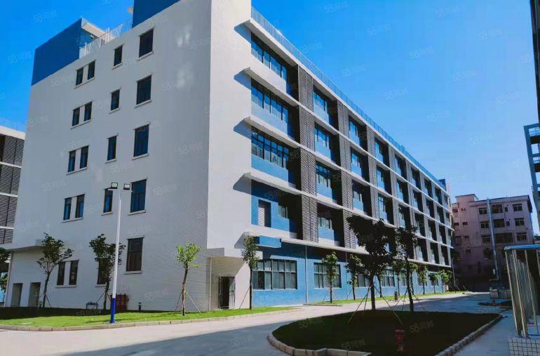 业主直租10块一平！茶山原业主1100平红本厂房出租